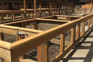 Timber Fencing and Paddocks