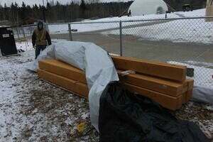 Heavy Timber at Tiger Exhibit, Edmonton Valley Zoo